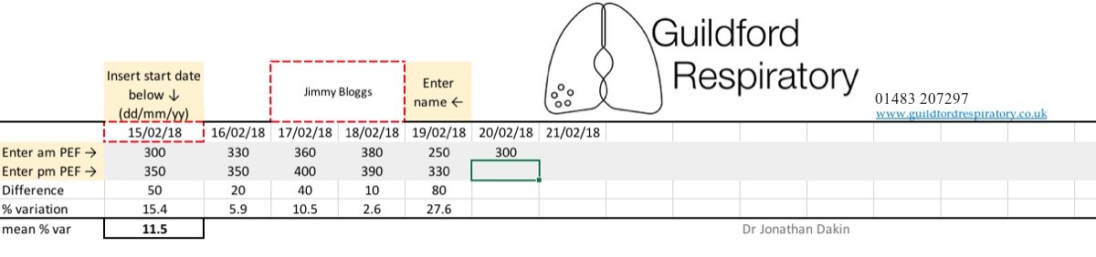 A row of peak flow readings entered into the spreadsheet calculator