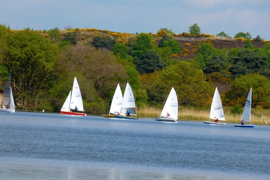 Laser dinghies racing on a lake